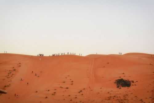 OMAN DESERT MARATHON | 165K 2016